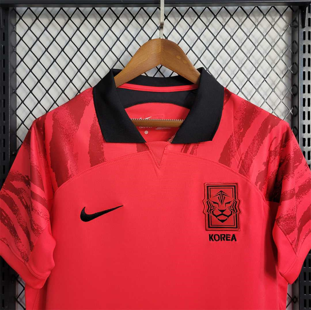 South Korea 2022 World Cup Home