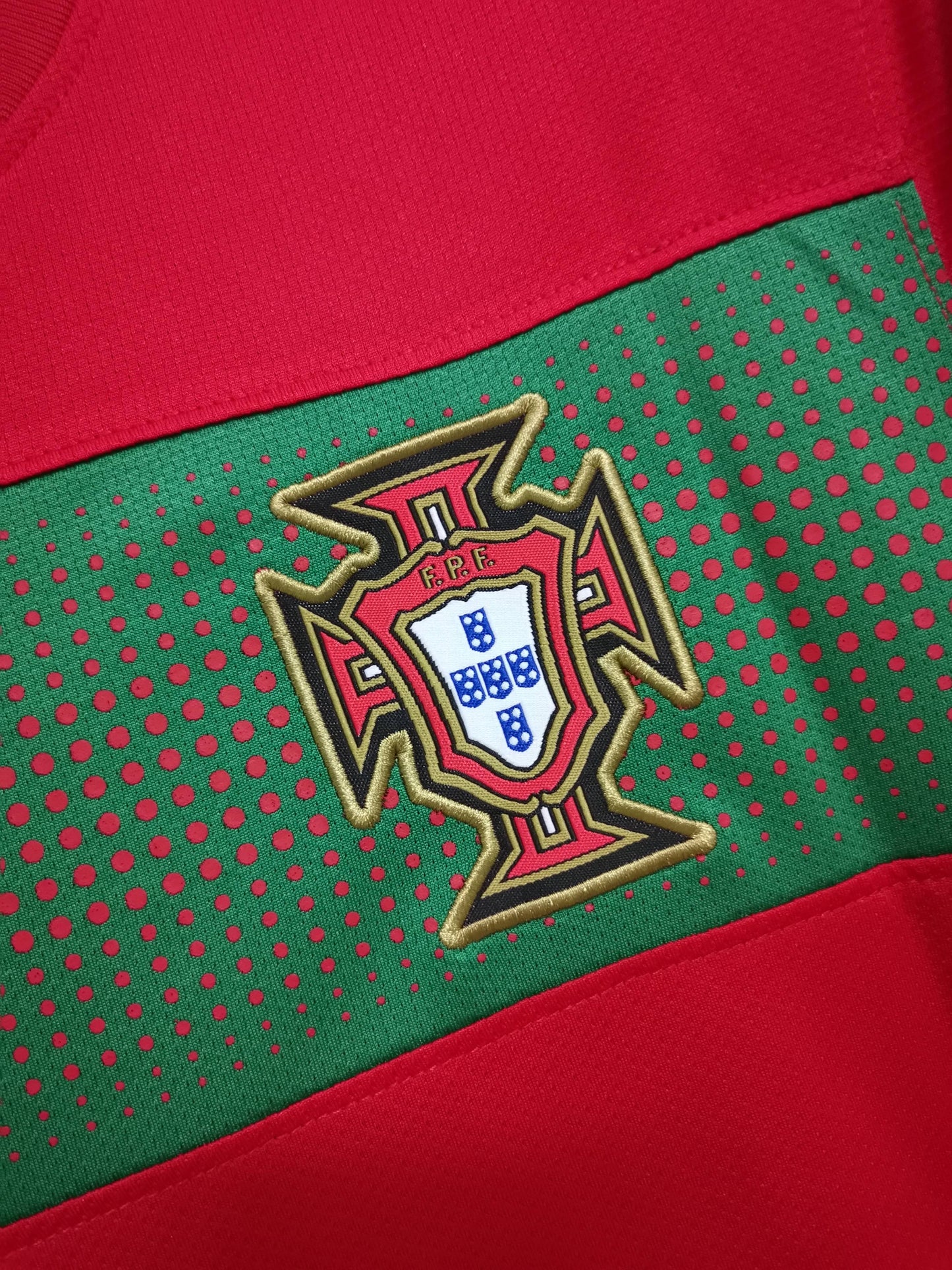 Portugal 2010 World Cup Ronaldo Home