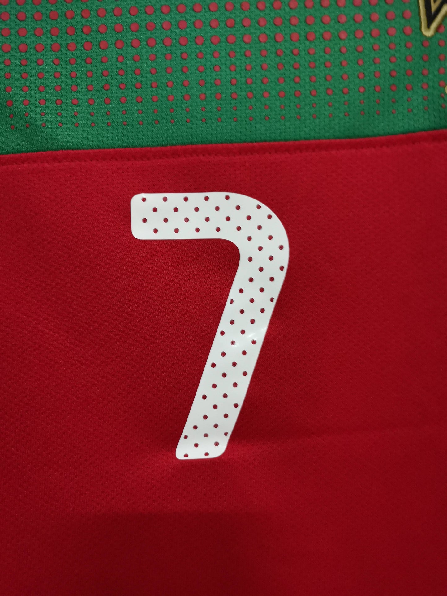 Portugal 2010 World Cup Ronaldo Home