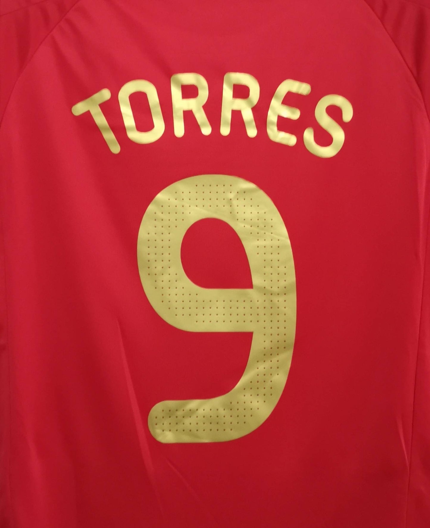 Spain 2008 Torres Home