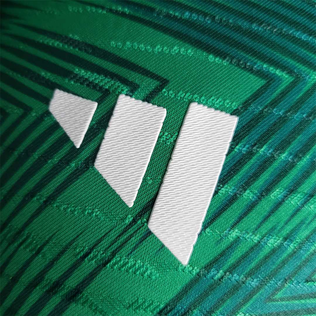 Mexico 2022 Home