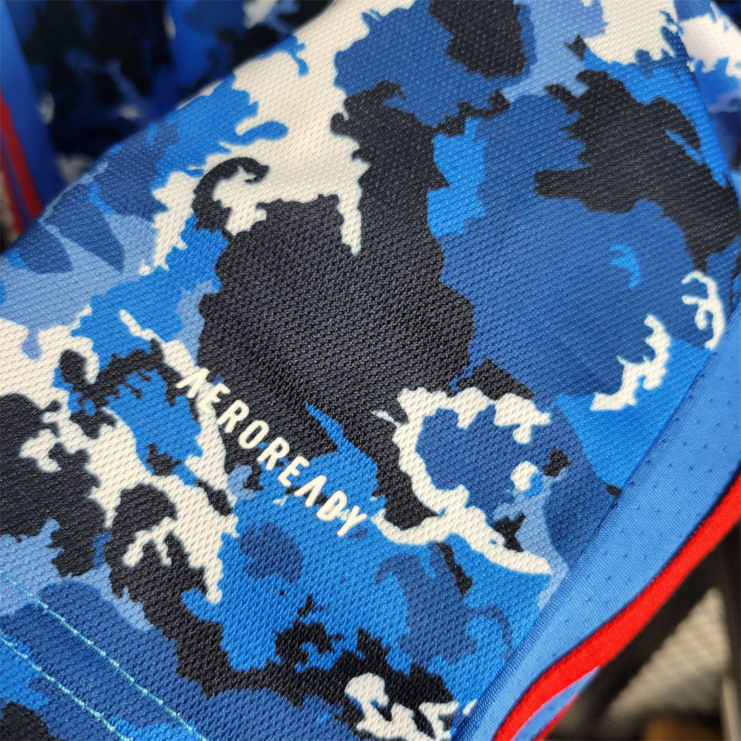 Japan 2020 Home