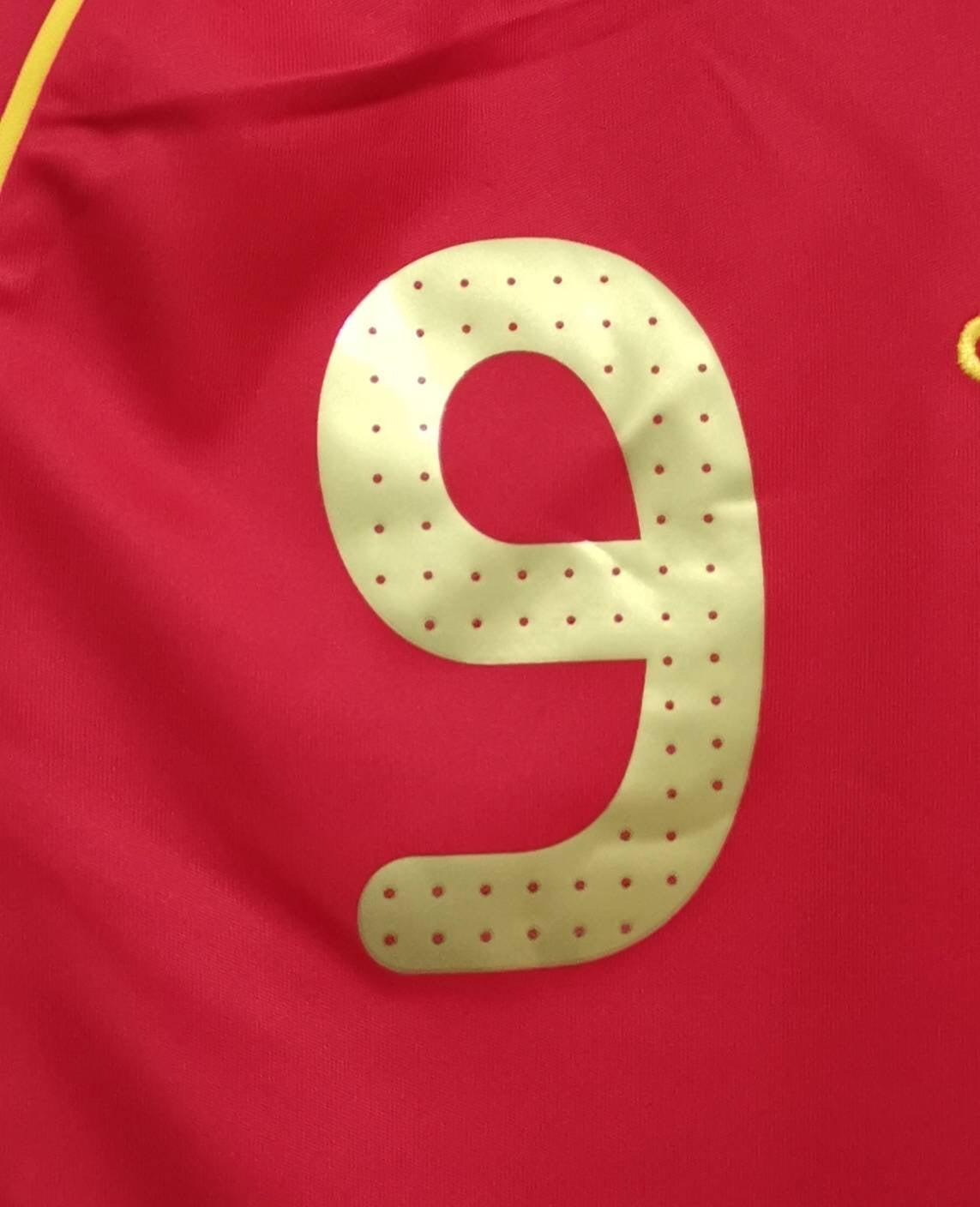 Spain 2008 Torres Home