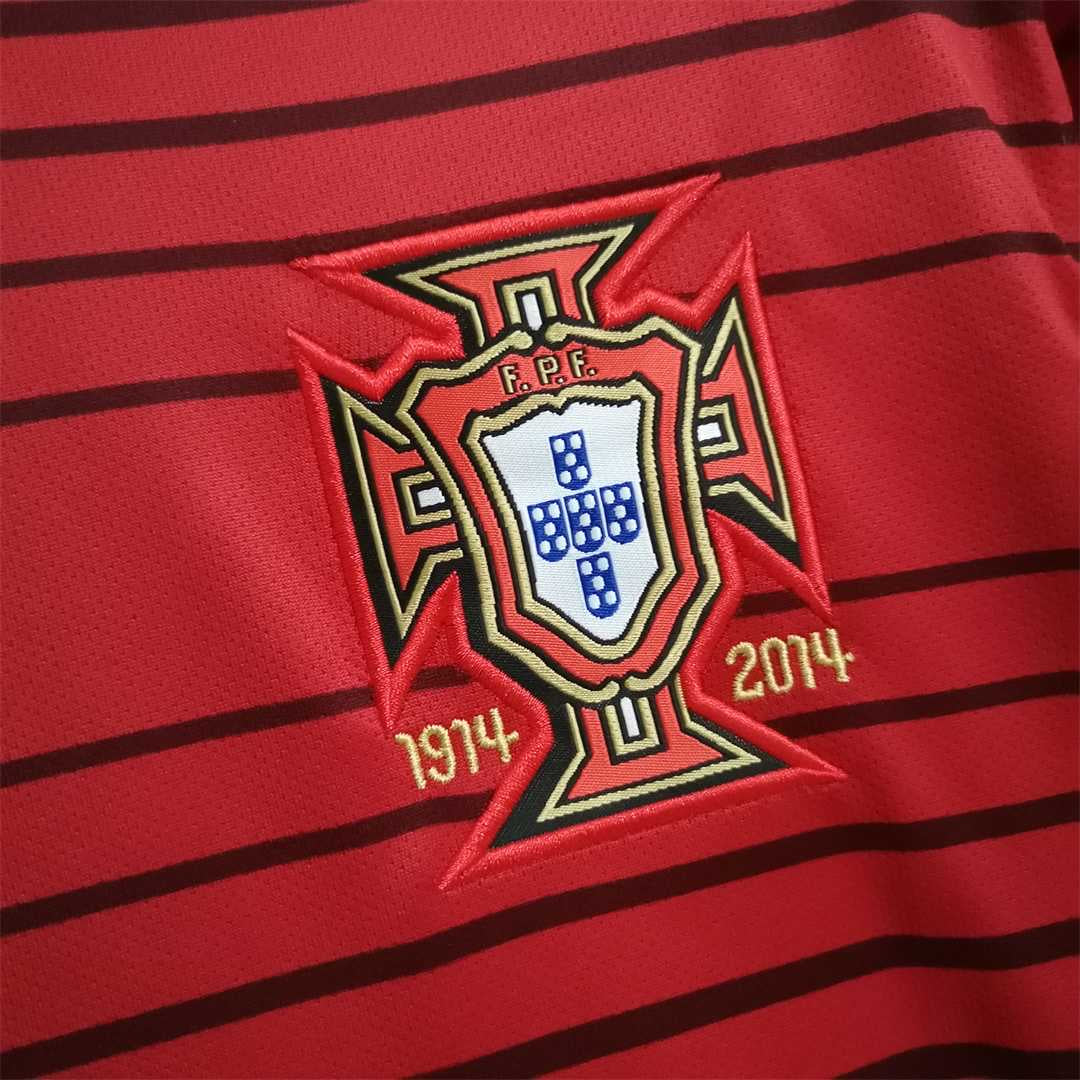 Portugal 2014 Ronaldo World Cup Home