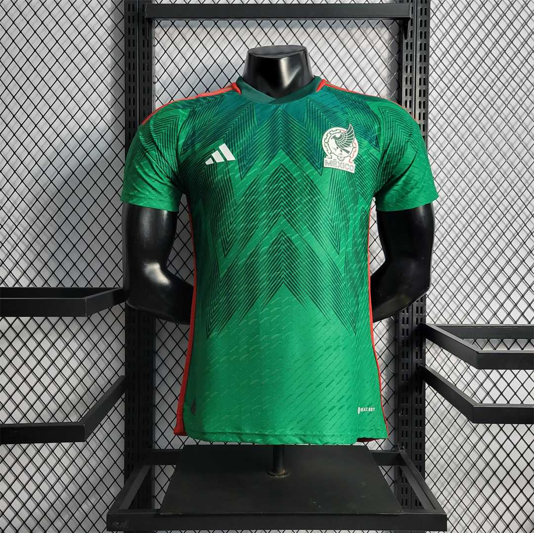 Mexico 2022 Home