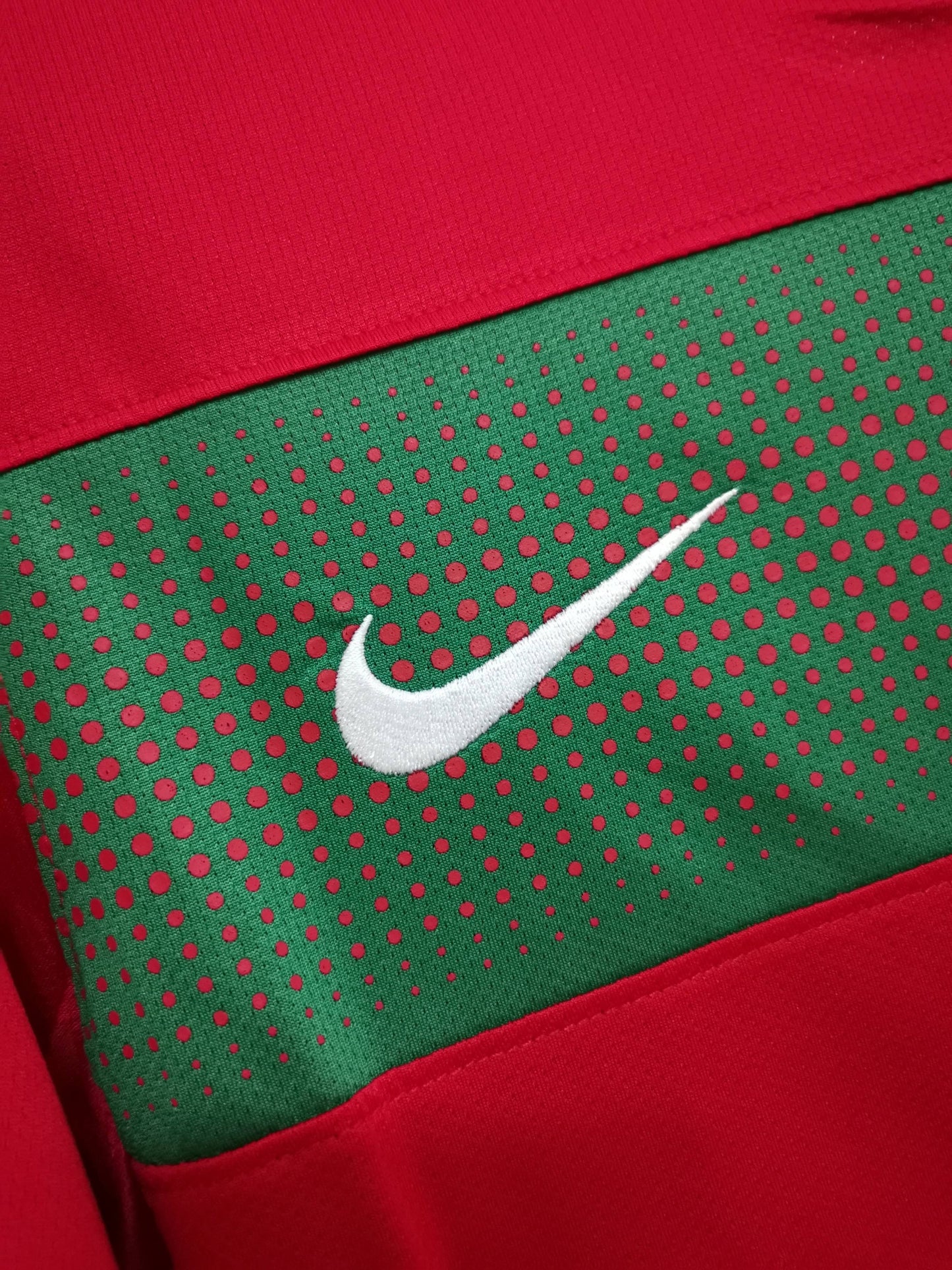 Portugal 2010 World Cup Ronaldo Home