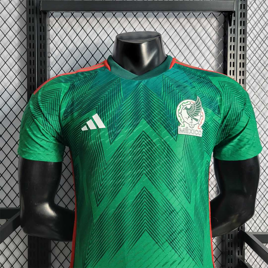 Mexico 2022 Home