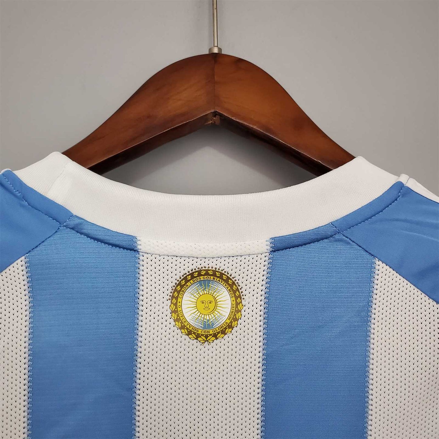 Argentina 2010 World Cup Messi Home