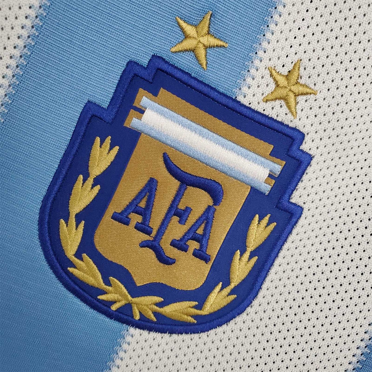 Argentina 2010 World Cup Messi Home