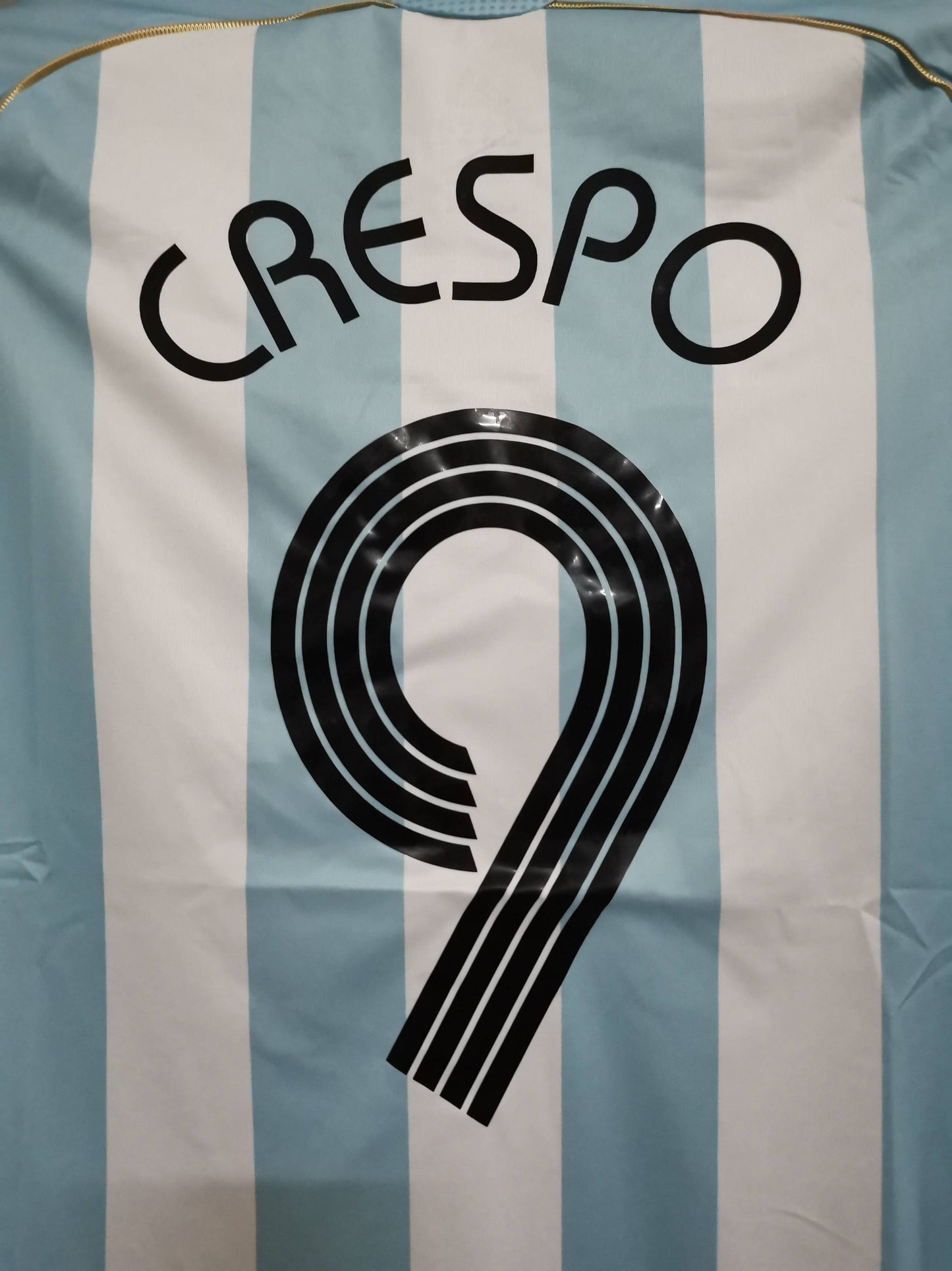 Argentina 2006 World Cup Crespo Home